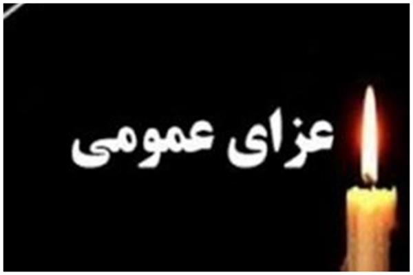 جهان با پدیده ای فراتر از نسل‌کشی رو‌به‌رو شد